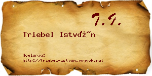 Triebel István névjegykártya